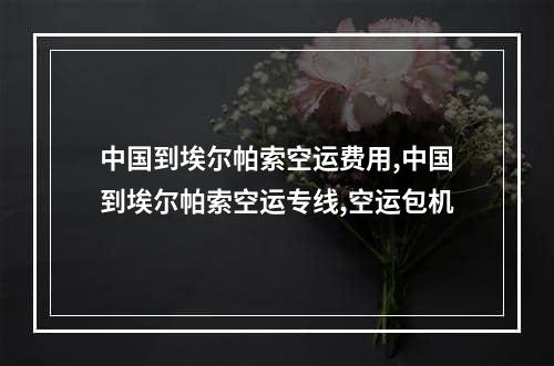 中国到埃尔帕索空运费用,中国到埃尔帕索空运专线,空运包机