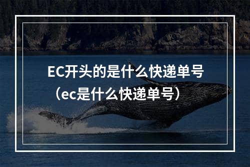 EC开头的是什么快递单号（ec是什么快递单号）