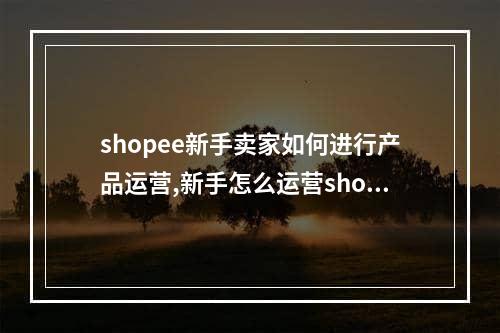 shopee新手卖家如何进行产品运营,新手怎么运营shopee东南亚本土店