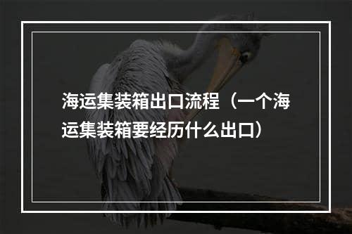 海运集装箱出口流程（一个海运集装箱要经历什么出口）