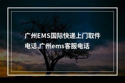 广州EMS国际快递上门取件电话,广州ems客服电话