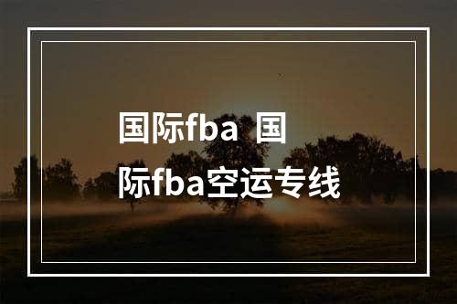 国际fba  国际fba空运专线