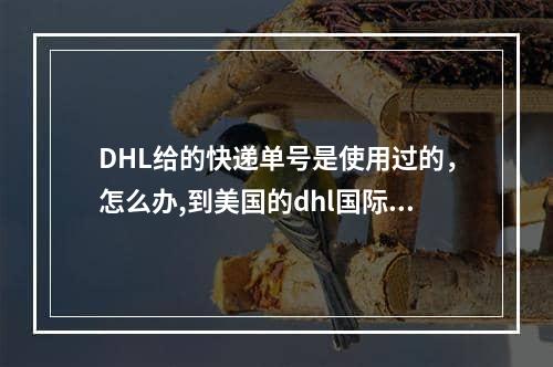 DHL给的快递单号是使用过的，怎么办,到美国的dhl国际快递单号是几位数