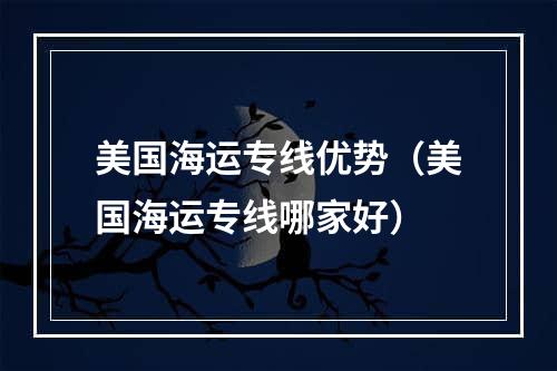 美国海运专线优势（美国海运专线哪家好）