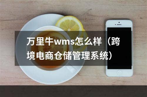 万里牛wms怎么样（跨境电商仓储管理系统）