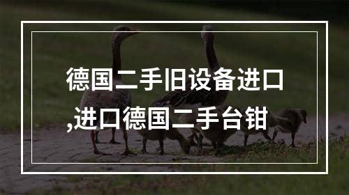 德国二手旧设备进口,进口德国二手台钳