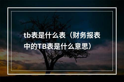 tb表是什么表（财务报表中的TB表是什么意思）