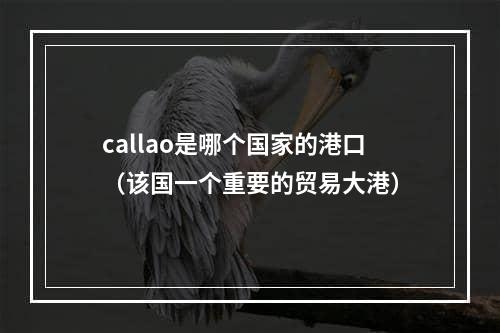 callao是哪个国家的港口（该国一个重要的贸易大港）