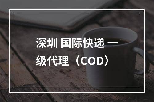 深圳 国际快递 一级代理（COD）