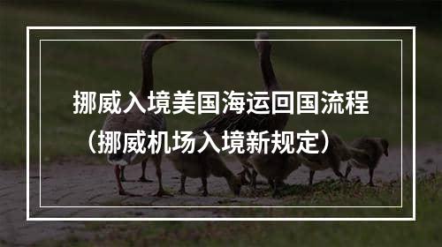 挪威入境美国海运回国流程（挪威机场入境新规定）