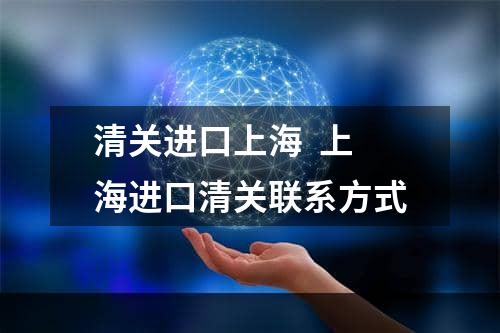 清关进口上海  上海进口清关联系方式