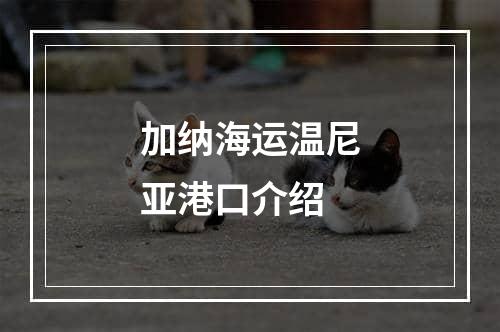 加纳海运温尼亚港口介绍