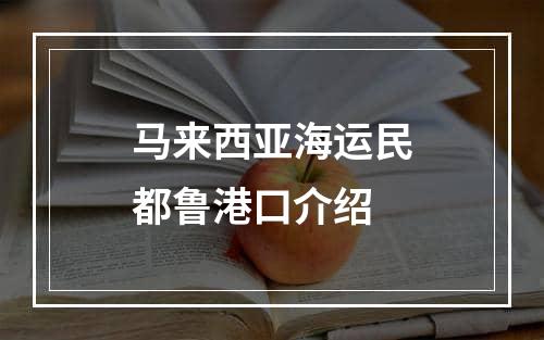 马来西亚海运民都鲁港口介绍