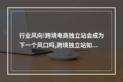 行业风向!跨境电商独立站会成为下一个风口吗,跨境独立站如何瞄准未来风口