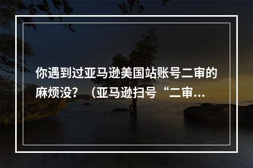 你遇到过亚马逊美国站账号二审的麻烦没？（亚马逊扫号“二审”战况激烈）