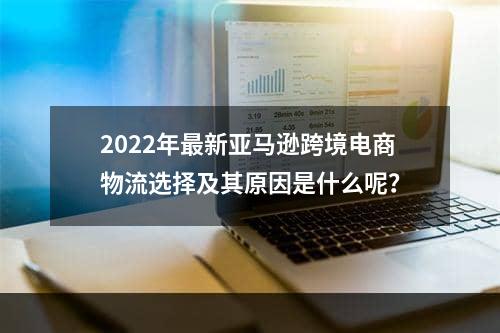 2022年最新亚马逊跨境电商物流选择及其原因是什么呢？