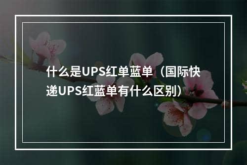 什么是UPS红单蓝单（国际快递UPS红蓝单有什么区别）