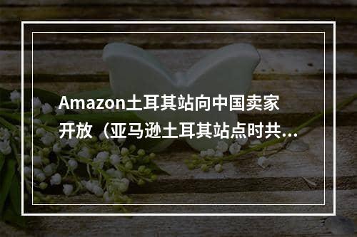 Amazon土耳其站向中国卖家开放（亚马逊土耳其站点时共享欧洲四国库存）