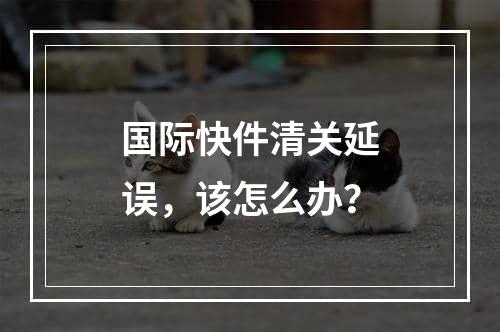 国际快件清关延误，该怎么办？