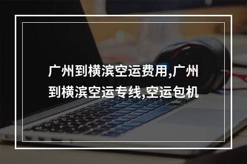 广州到横滨空运费用,广州到横滨空运专线,空运包机