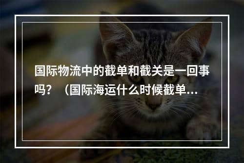 国际物流中的截单和截关是一回事吗？（国际海运什么时候截单）