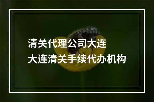 清关代理公司大连  大连清关手续代办机构