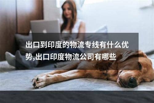 出口到印度的物流专线有什么优势,出口印度物流公司有哪些