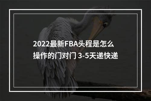 2022最新FBA头程是怎么操作的门对门 3-5天递快递