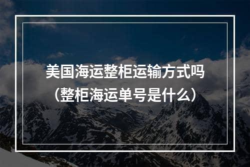 美国海运整柜运输方式吗（整柜海运单号是什么）