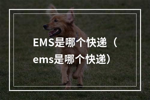 EMS是哪个快递（ems是哪个快递）