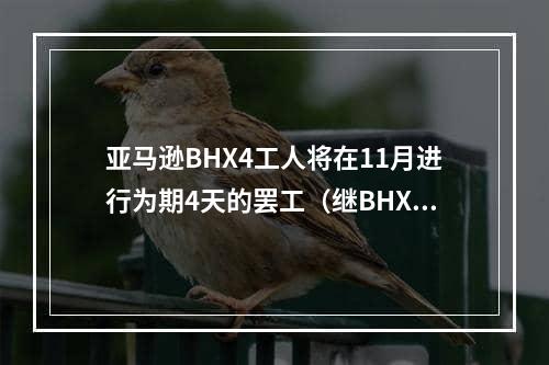 亚马逊BHX4工人将在11月进行为期4天的罢工（继BHX4、LBA4持续爆仓）