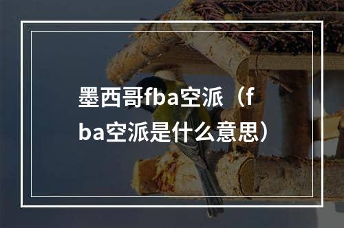 墨西哥fba空派（fba空派是什么意思）