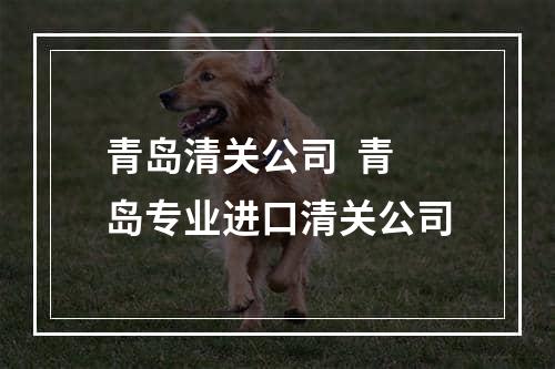 青岛清关公司  青岛专业进口清关公司