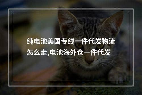 纯电池美国专线一件代发物流怎么走,电池海外仓一件代发