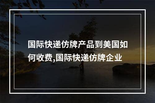 国际快递仿牌产品到美国如何收费,国际快递仿牌企业