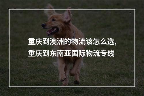 重庆到澳洲的物流该怎么选,重庆到东南亚国际物流专线