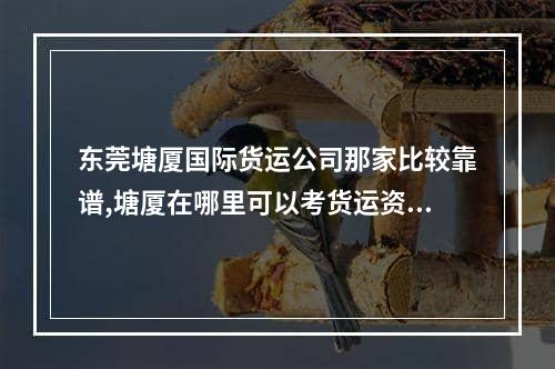 东莞塘厦国际货运公司那家比较靠谱,塘厦在哪里可以考货运资格证