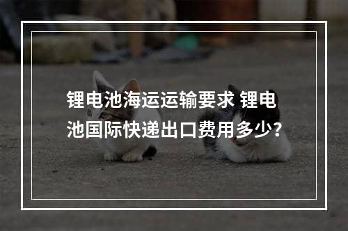 锂电池海运运输要求 锂电池国际快递出口费用多少？