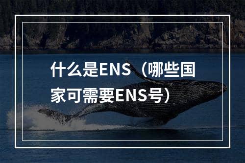 什么是ENS（哪些国家可需要ENS号）