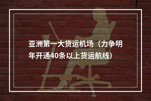 亚洲第一大货运机场（力争明年开通40条以上货运航线）