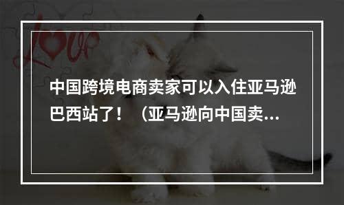 中国跨境电商卖家可以入住亚马逊巴西站了！（亚马逊向中国卖家开放的第18个海外站点）