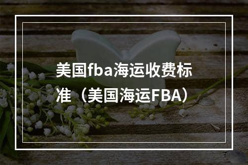 美国fba海运收费标准（美国海运FBA）