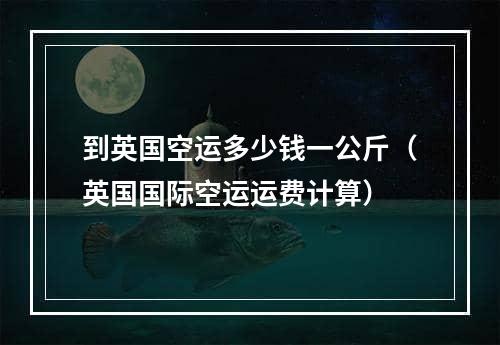 到英国空运多少钱一公斤（英国国际空运运费计算）