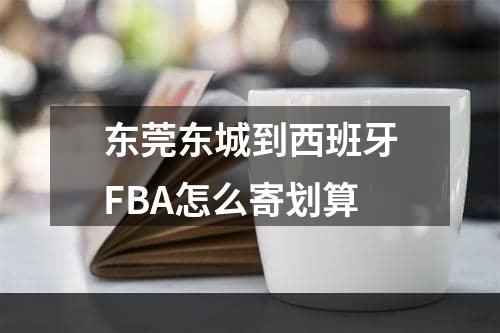 东莞东城到西班牙FBA怎么寄划算