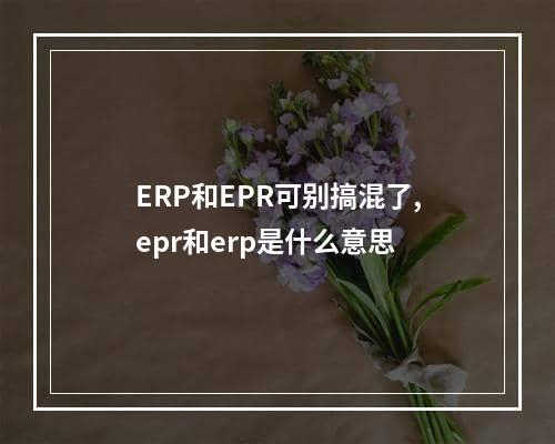 ERP和EPR可别搞混了,epr和erp是什么意思