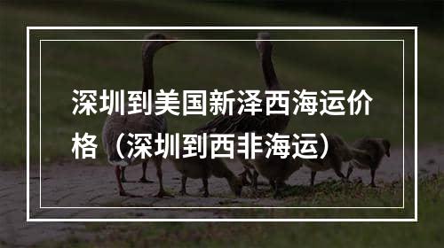 深圳到美国新泽西海运价格（深圳到西非海运）