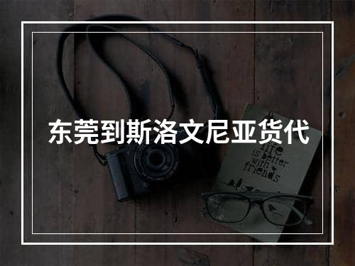 东莞到斯洛文尼亚货代