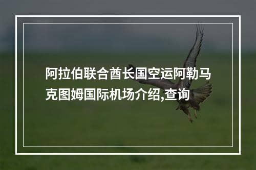 阿拉伯联合酋长国空运阿勒马克图姆国际机场介绍,查询