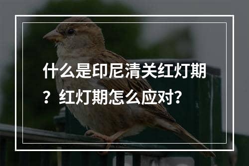 什么是印尼清关红灯期？红灯期怎么应对？