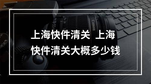 上海快件清关  上海快件清关大概多少钱